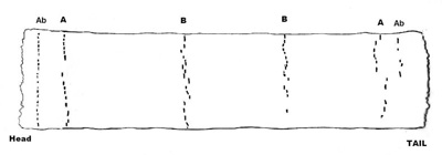 Marks of the sewing stations for the end bands and sewing stations from previous structure